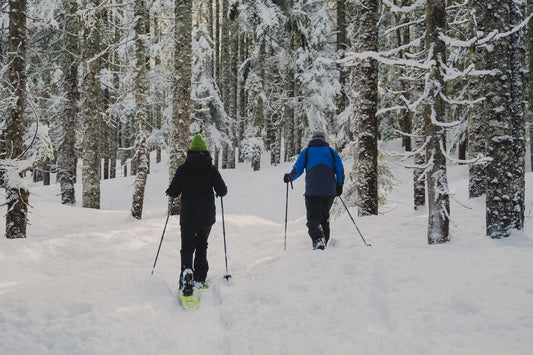 Schneeschuh-Schnuppertour Sudelfeld am Skitourenabend