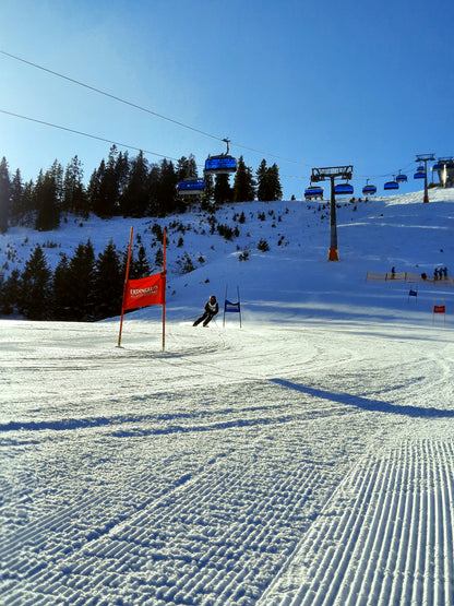 Skirennen