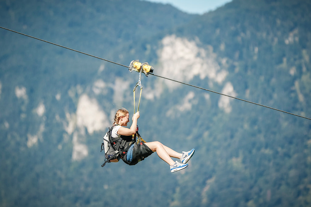 Flying Fox