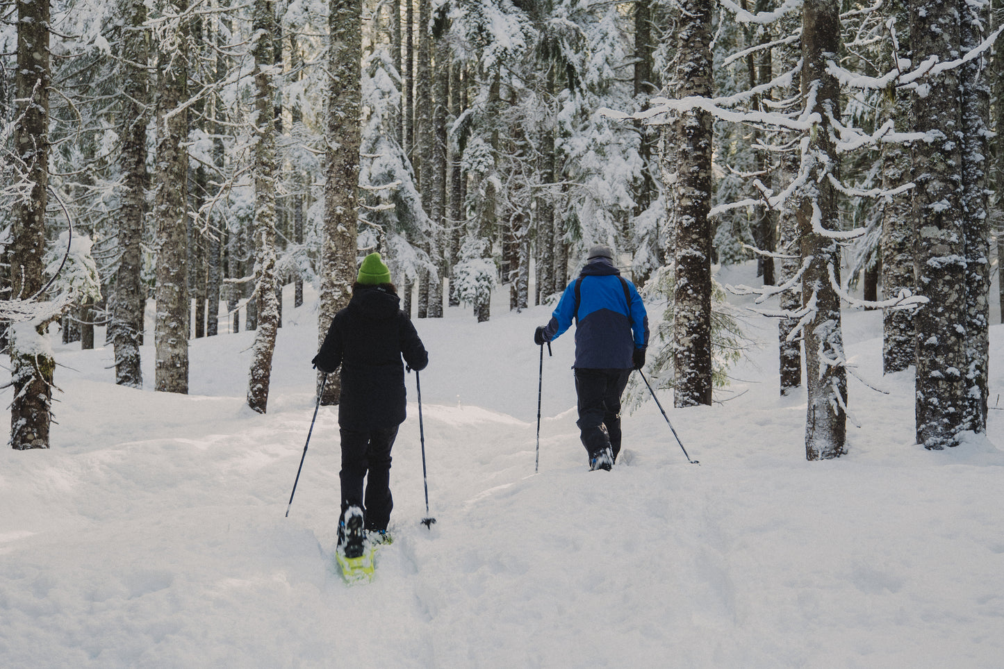 Schneeschuh-Schnuppertour Sudelfeld am Skitourenabend