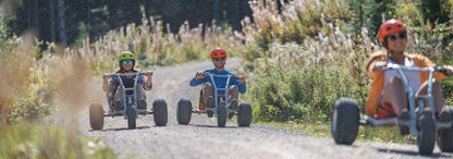 Mountaincart