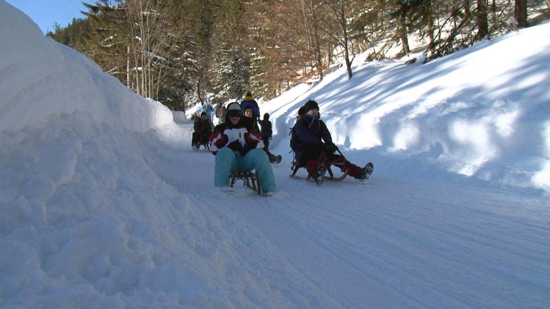 Rodelbahn Obere Firstalm